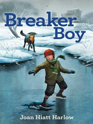 cover image of Breaker Boy